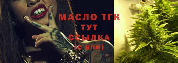 шишки Медвежьегорск