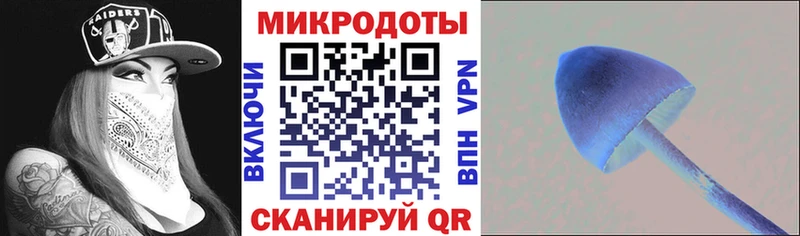 Галлюциногенные грибы мицелий  Новокубанск 